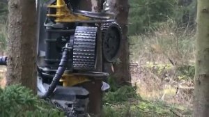 Как современная техника валит лес