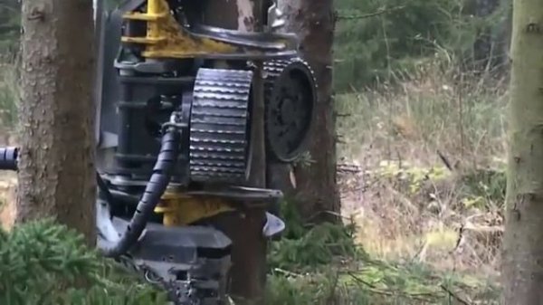 Как современная техника валит лес