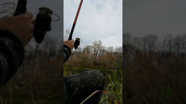 Ловля Сороги(плотва) смотреть онлайн