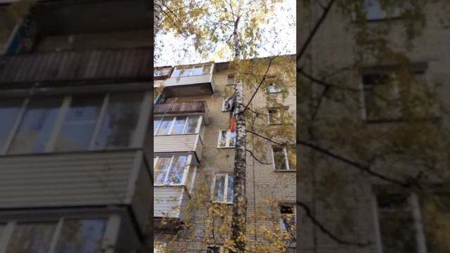 Спасение кошки на Мэзе. Малаховка. часть1 смотреть онлайн