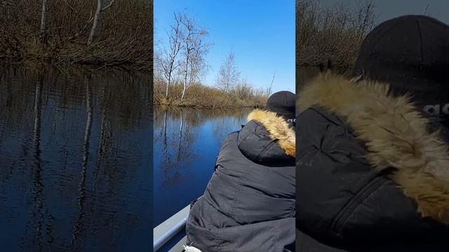 лодкак ПВХ Братан 5м.Под 20 сильным мотором болотоходом. смотреть онлайн