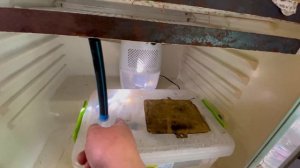 Климатическая камера своими руками из витринного холодильника