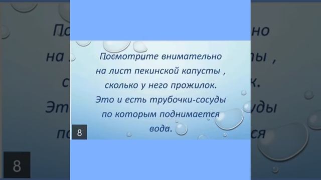 Познавательно исследовательская деятельность "Вода" смотреть онлайн