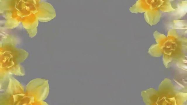 Футаж border flowers смотреть онлайн