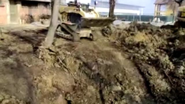 Cat 287 B смотреть онлайн