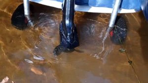 Транцевые колёса с кронштейном "Ёжик" на 4 положения.