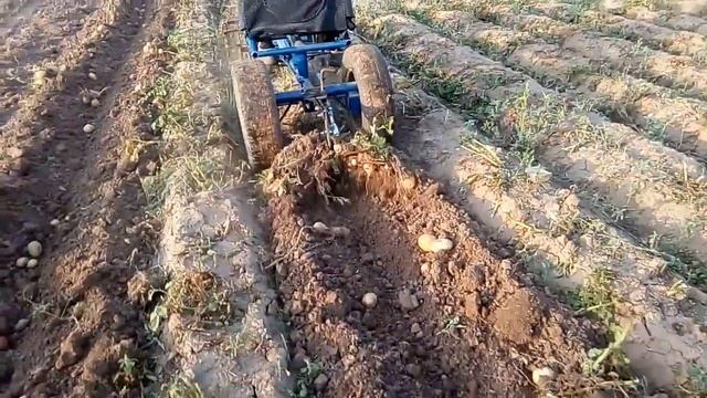 самодельный адаптер с мотоблоком копка картофеля смотреть онлайн