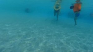 Аквапарк в Южно-Сахалинске