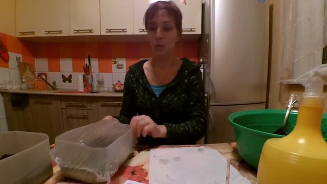 Посадка белокачанной и краснокачанной капусты. Посадка капусты. смотреть онлайн