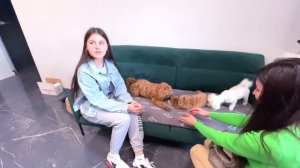 НЕПОСЛУШНЫЙ ДЖОШ ?! ДАША ВЕЗЁТ ЕГО ОБРАТНО В ПИТОМНИК ?