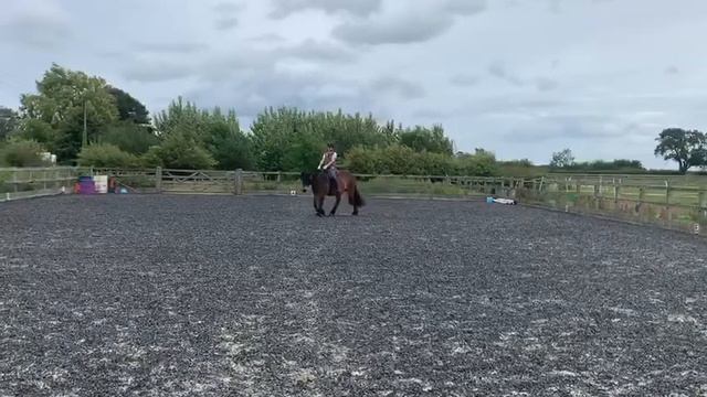 Claire Shand Intro C смотреть онлайн