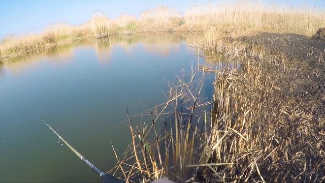РЫБАЛКА НА ВОЛГЕ. КРАСНОПЁРКА НА СПИННИНГ! ВОЛГОГРАДСКОЕ ВОДОХРАНИЛИЩЕ. смотреть онлайн