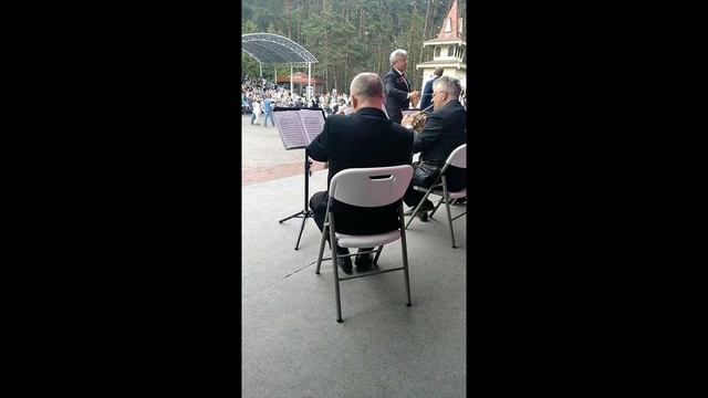 Майский вальс в исполнении Владимира Желонкина смотреть онлайн