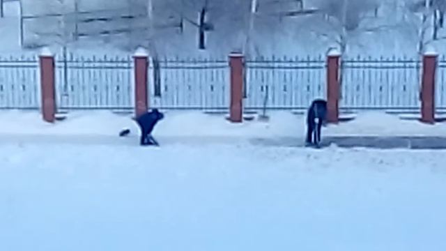 Дворники с перфораторами смотреть онлайн