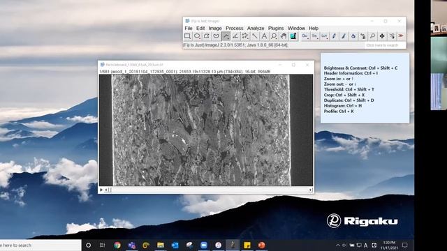 Rigaku Virtual Workshop 8: Viewers Choice – CT Data Analysis Techniques Using ImageJ смотреть онлайн