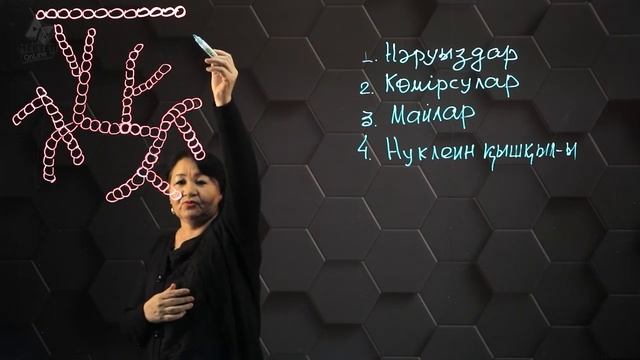 Жасушаның органикалық заттары: полимерлер мен мономерлер. 8 сынып. смотреть онлайн