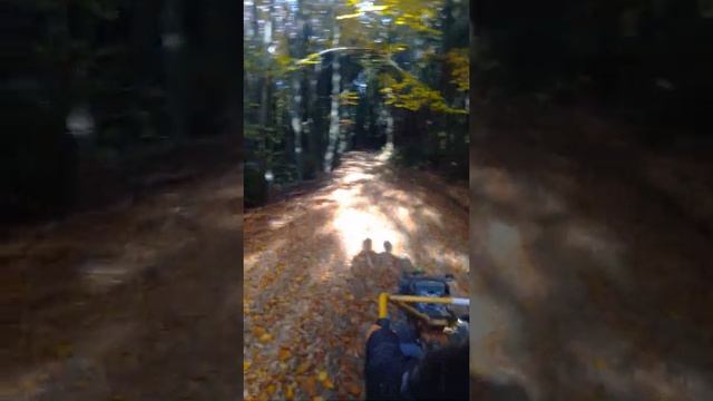 мотоблок у карпатах смотреть онлайн