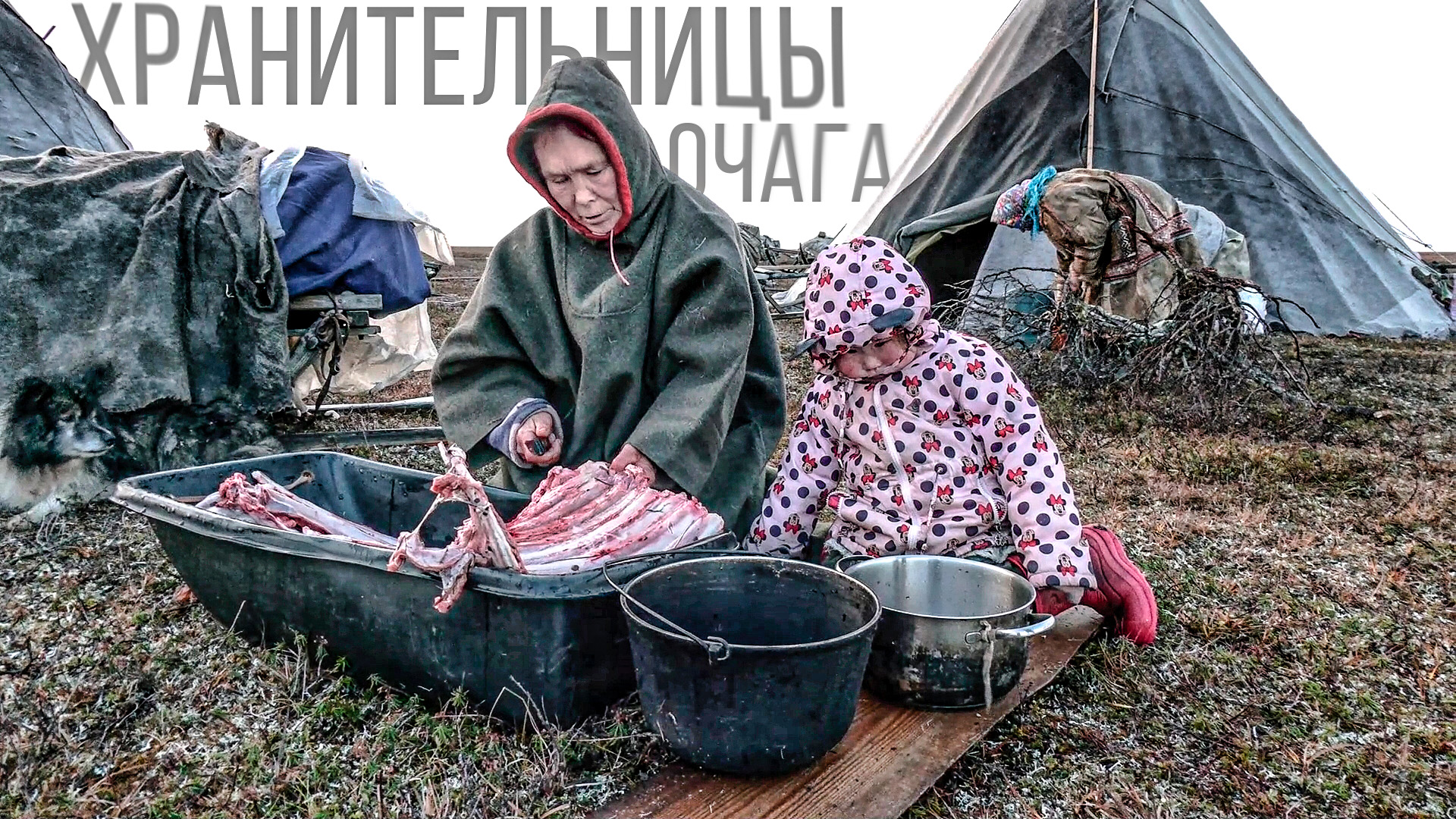 Жизнь тундры глазами женщин-оленеводов смотреть онлайн