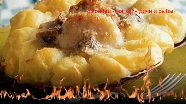 Рецензии на Кинофильмы и Телесериалы