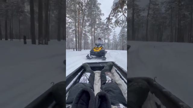 BRP Tundra WT Сила ??