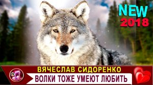 ВОЛК ОБАЛДЕННАЯ ПЕСНЯ до СЛЁЗ !!!  Вячеслав СИДОРЕНКО