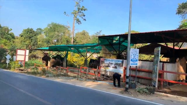 Таиланд.Пхукет/Смотровая Промтеп/Пальмовая роща/Promthep cape/Phuket City смотреть онлайн