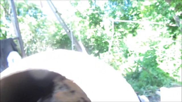 Строительные Мечты