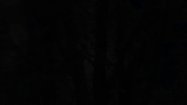 Природа просыпается после зимнего сна