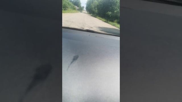 позор правительству РФ дорога пос. Сонково-г. Бежецк Тверская область.