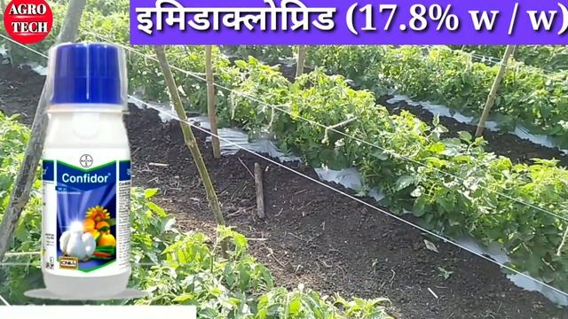 Bayer Confidor Insecticide | Imidacloprid 200 SL 17.8 % W/w | Imidacloprid | Bayer | Kitnashak