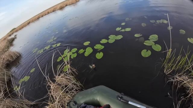 ЕЛЕ добрались до СЕКРЕТНОЙ реки, ловим ЩУК. Сезон открыт. Щука после нереста. смотреть онлайн