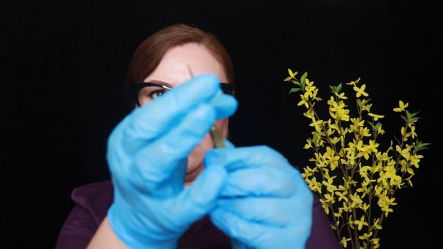 ASMR Dermatologist Face Fat Transfer Roleplay смотреть онлайн