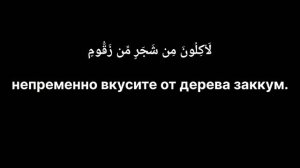 Мухаммад Шариф Эльжаркиев - сура 56 аль-Вакиа (Событие)