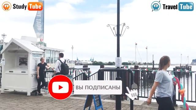 Групповая поездка MARYADI в Англию | Экскурсия по Кардиффу смотреть онлайн