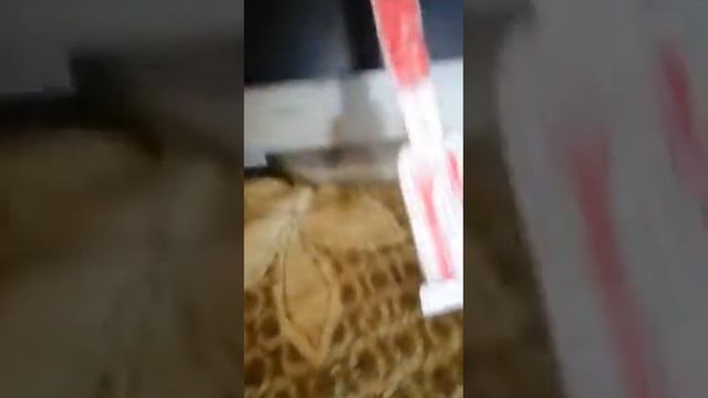 exploring rockets part1 смотреть онлайн