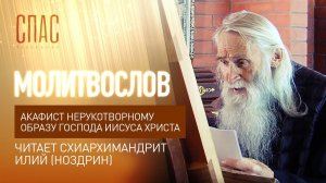 АКАФИСТ СПАСУ НЕРУКОТВОРНОМУ. ЧИТАЕТ СХИАРХИМАНДРИТ ИЛИЙ (НОЗДРИН).mp4