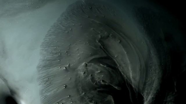 СОЦИАЛЬНАЯ ТРЕВОЖНОСТЬ И ДЕЗАДАПТАЦИЯ ВОЛЕВОЙ ФУНКЦИИ ЧАСТЬ #2 смотреть онлайн