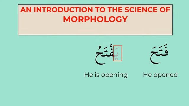 Arabic verbs EXPLAINED - Fully animated смотреть онлайн