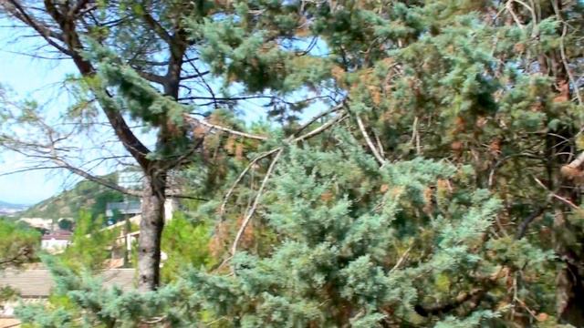 Girona, Жирона смотреть онлайн