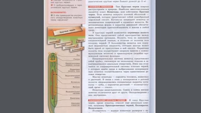 Биология (Л.Н.Сухорукова) 7к §31 Тип Круглые черви смотреть онлайн