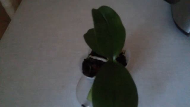 ФУНДАЗОЛ ДРУГ ИЛИ ВРАГ??? смотреть онлайн