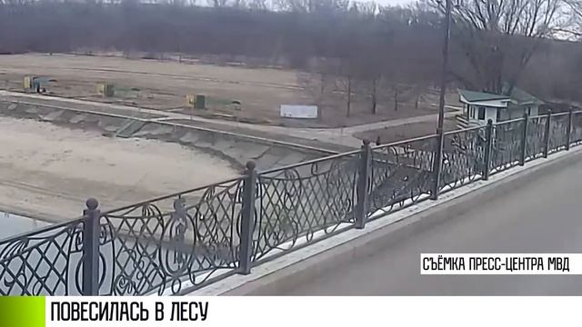 В лесу повесилась девочка-подросток смотреть онлайн