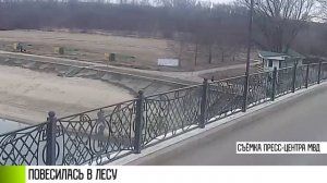 В лесу повесилась девочка-подросток