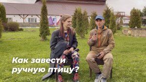 Где берут ручных птиц? Питомники, ЦРХП и браконьерство.