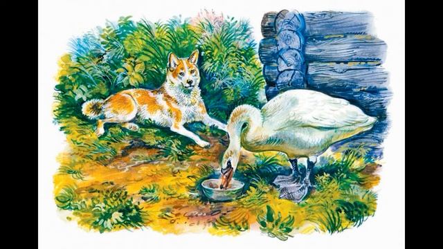 Краткое содержание Приёмыш. Мамин-Сибиряк Д. Н. Пересказ сказки за 3 минуты смотреть онлайн