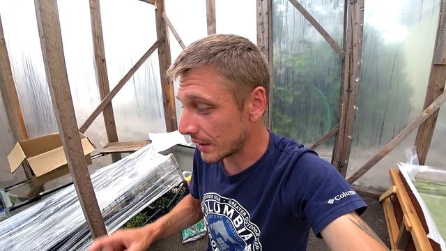 НОВЫЕ РАСТЕНИЯ ДЛЯ ТЕПЛИЧКИ!!! смотреть онлайн