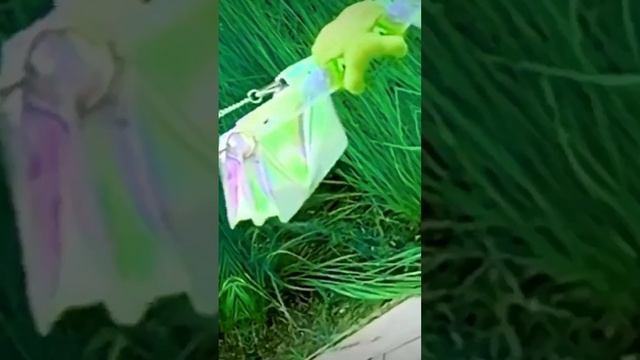 Видимо не судьба ?