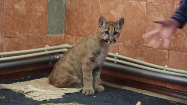 Когда хочется жить смотреть онлайн