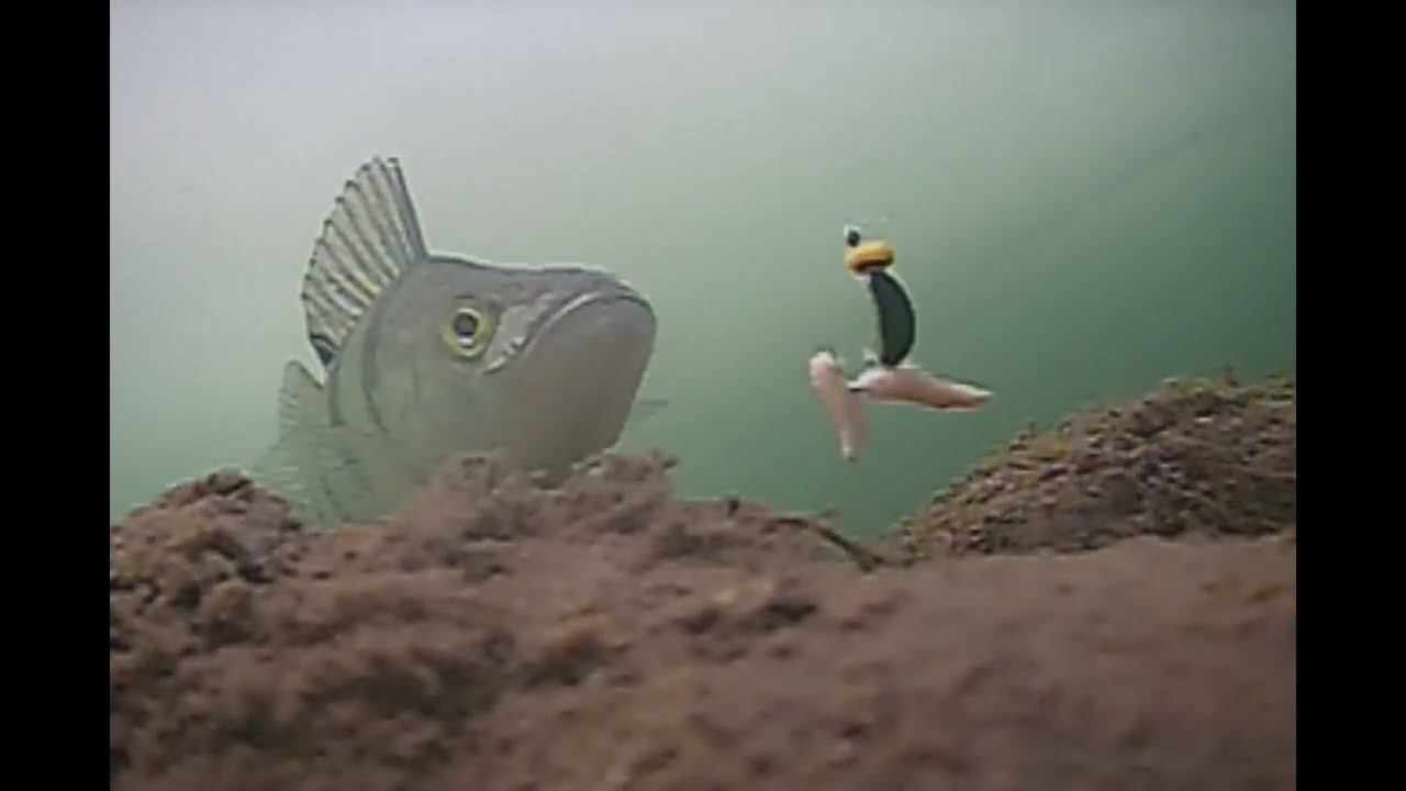 Атака щуки и окуня на мормышку! Подводная съемка рыбалки на хищника. Рыбаки поймут. смотреть онлайн