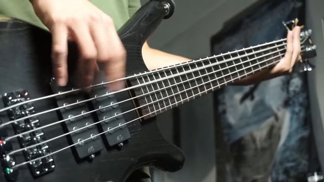 Motionless in White - Disguise (Bass Cover) + FREE TAB смотреть онлайн